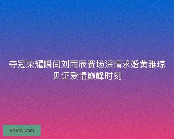 夺冠荣耀瞬间刘雨辰赛场深情求婚黄雅琼见证爱情巅峰时刻