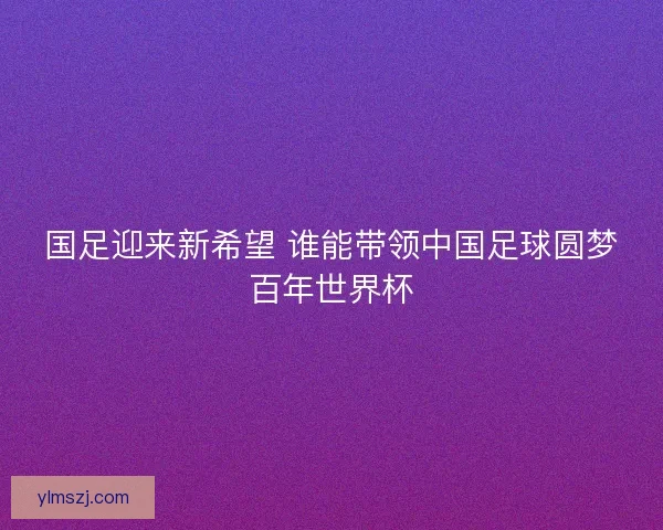 国足迎来新希望 谁能带领中国足球圆梦百年世界杯