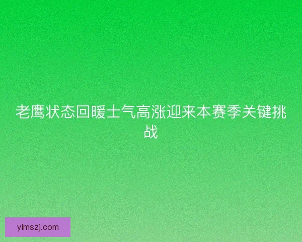 老鹰状态回暖士气高涨迎来本赛季关键挑战