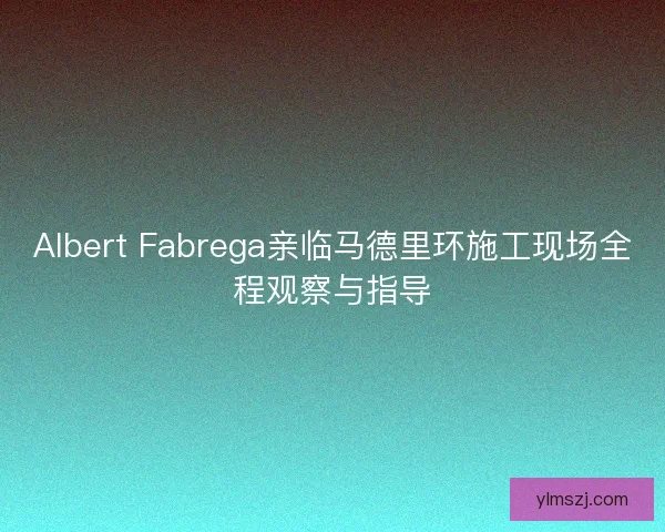 Albert Fabrega亲临马德里环施工现场全程观察与指导